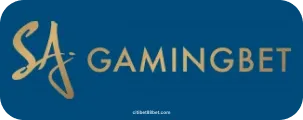 Gaming Bet Payment Gateway